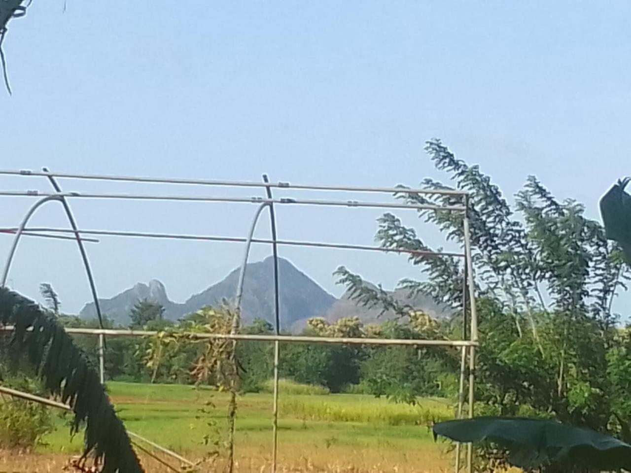 Winstar Homestay Sigiriya Exterior foto